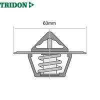 TRIDON THERMOSTAT BLISTERED (TT2-160)