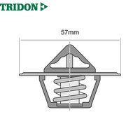 TRIDON THERMOSTAT BLISTERED (TT208-180)