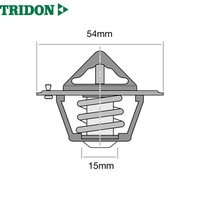 TRIDON THERMOSTAT BLISTERED (TT219-160)