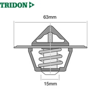 TRIDON THERMOSTAT BLISTERED (TT220-160)