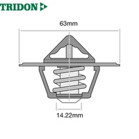 TRIDON THERMOSTAT BLISTERED (TT222-160)
