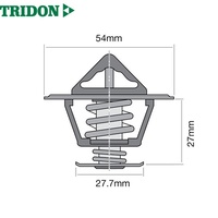 TRIDON THERMOSTAT BLISTERED (TT231-180)