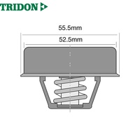 TRIDON THERMOSTAT BLISTERED (TT238-180)