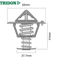TRIDON THERMOSTAT BLISTERED (TT319-180)