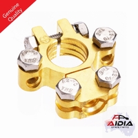 PROJECTA FORGED BRASS WITH DUAL AUXILIARY  POSITIVE TERMINAL (BT620-P1)