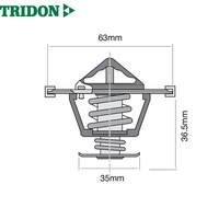 TRIDON THERMOSTAT (TT416-203)