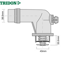 TRIDON THERMOSTAT (TT550-221P)