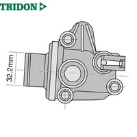 TRIDON THERMOSTAT (TT599-189)