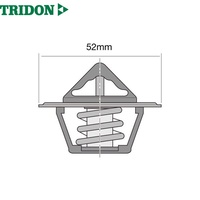 TRIDON THERMOSTAT BLISTERED (TT6-160)