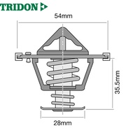 TRIDON THERMOSTAT (TT658-170)