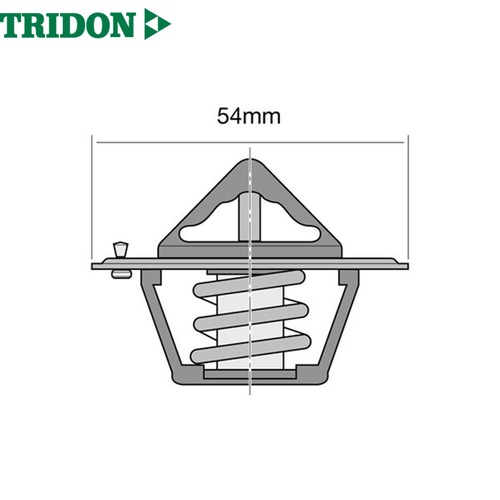 TRIDON THERMOSTAT BLISTERED (TT1-160)